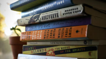 A close-up of a stack of books, with their colorful spines displaying titles from various authors, including White Teeth by Zadie Smith, The House of the Spirits by Isabel Allende, and Tell Me How It Ends by Valeria Luiselli. The books appear well-read, with worn edges and creased covers. A small potted plant with green leaves sits in the background, softly blurred, with warm natural light filtering through a window screen.